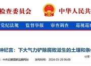 最高法发布6件“蝇贪蚁腐”典型案例