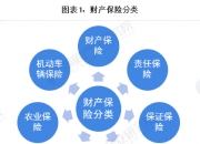 人保财险 ,人保有温度_2024年健康产业发展现状、竞争格局及未来发展趋势与前景分析