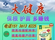 猪价持续下跌，影响有多大？记者调查→