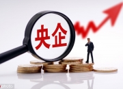 深南电A：预计2024年上半年净利润亏损3500万元~4500万元