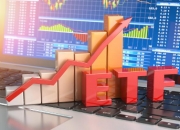 【ETF观察】12月12日股票指数ETF净流入14.55亿元