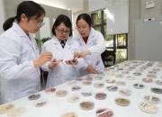 统筹推进种质资源收集保存和鉴定利用 给种子办“分子身份证”