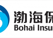 证券时报社副社长高玉梅： 希望保险资金进一步释放长线价值