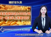 中储粮集团公司：即日起停止进口玉米轮出销售
