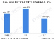 浙文互联：子公司“双11”GMV环比增268% 抖音电商业务表现亮眼