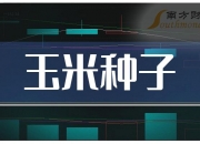 丰乐种业：公司目前经营的是转基因玉米种子，没有转基因食品