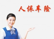 人保车险   品牌优势——快速了解燃油汽车车险,人保财险政银保 _中国虚拟偶像行业市场现状调查及投资策略规划