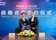 保险有温度,人保财险 _生物美容行业产业链结构及投资分析