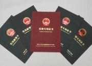 登康口腔获得外观设计专利授权：“牙科洁治器标贴（儿童型）”