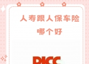 2025-2030中国网络安全设备行业：竞争格局与技术突破_人保车险   品牌优势——快速了解燃油汽车车险,保险有温度