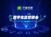 中央汇金：持续当好维护金融稳定的“压舱石”