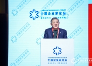 中国贸促会会长任鸿斌率中国企业家代表团出席东盟―中国―海合会三方经济论坛