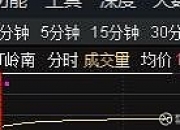 *ST亚振录得20天15板