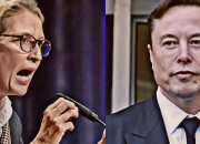 荒谬可笑！马斯克狠批！