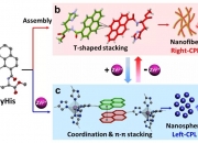 我国科研团队在交流电合成化学领域取得新突破
