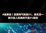 安路科技：国家集成电路产业投资基金拟减持不超3%股份