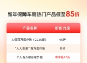 2025年中国板鞋行业：消费群体细分与市场潜力_人保财险 ,拥有“如意行”驾乘险，出行更顺畅！