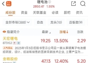 阳光电源：部分董事、高管拟合计减持不超0.0207%公司股份