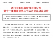 四川长虹获得外观设计专利授权：“标贴（长虹小白）”