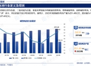 新能源金融行业市场规模及供需格局、竞争格局分析2025_人保车险   品牌优势——快速了解燃油汽车车险,人保服务 