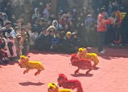 链博会丨你见过机器狗舞狮吗？