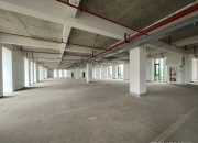 上海临港新片区首创试点新增四类租赁物