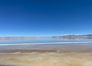 12.59亿主力资金净流入，盐湖提锂概念涨3.30%