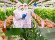 ESG双奖印证绿色“骑”迹 台铃积极推动可持续发展