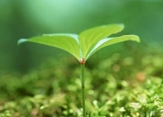 国发股份变革撬动大健康业务增量 积极创新驱动稳健增长