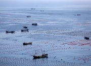 从“蓝色粮仓”到“蓝色动能” 现代渔业激发经济新活力