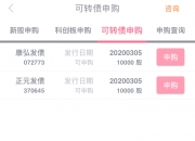 胜通能源：公司目前没有发行可转债计划