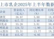 境内外营收增速悬殊，销售投入赶超研发，越疆营利双增难破亏损局