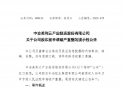 非经营性资金占用等数重风险加身 *ST苏吴多次发布风险提示公告