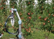 机器人采摘无人机运送 科技绘就农业丰收新图景