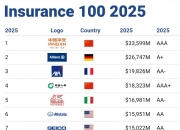 13.8%年复合增长下的“黄金五年”：火锅料行业投资地图2025-2030_保险有温度,人保护你周全