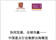 不仅要“走出去”更要“走进去” 新一轮风电出海正当时