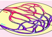 埃科光电获得发明专利授权：“一种显微镜管镜和测量设备”