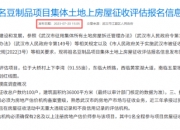 视源股份（002841）2025年三季报简析：增收不增利