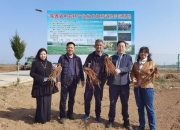 陕西省证券投资基金业协会设立政府投资基金专委会 助力构建陕西现代产业体系