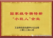 左蓝微电子入选国家级专精特新“小巨人”企业