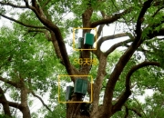 中国方案助力全球矿业加速绿色转型