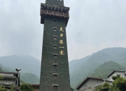 人保服务,人保护你周全_猪肉行业现状与发展趋势分析