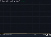 江苏吴中退市背后，审计“看门人”该担何责？