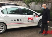 蔗糖行业现状洞察与未来趋势展望_人保伴您前行,人保护你周全