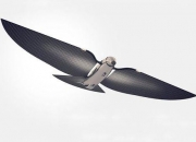 孚日股份：目前公司在人工智能、机器人方面没有布局