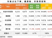 2026年运动高帮鞋行业市场深度调研及未来发展趋势_人保财险政银保 ,人保护你周全