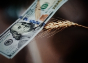 獐子岛：参股公司普冷獐子岛借款逾期