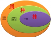 百亚股份获得实用新型专利授权：“一种益生菌卫生巾”