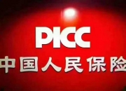人保车险,人保伴您前行_2024中国味精行业运营态势及未来投资方向预测
