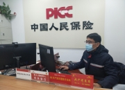 人保财险 ,人保护你周全_黑茶行业市场规模分析及未来趋势预测2026